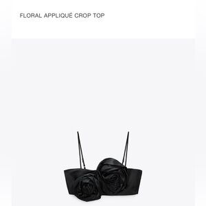 Zara crop top
